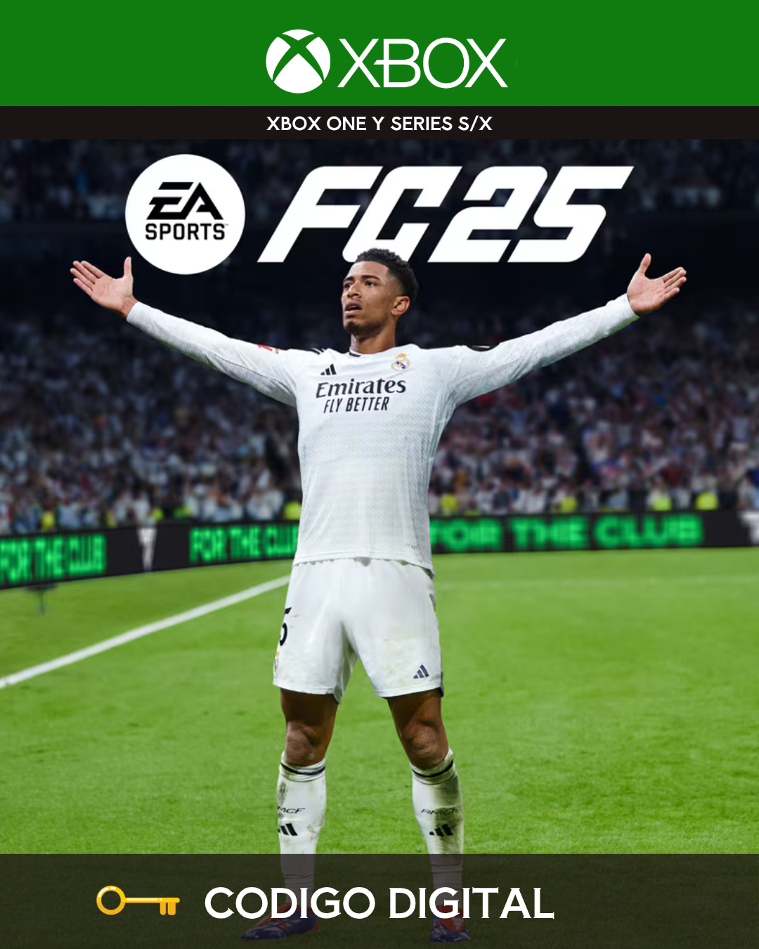 FC 25 (FIFA)