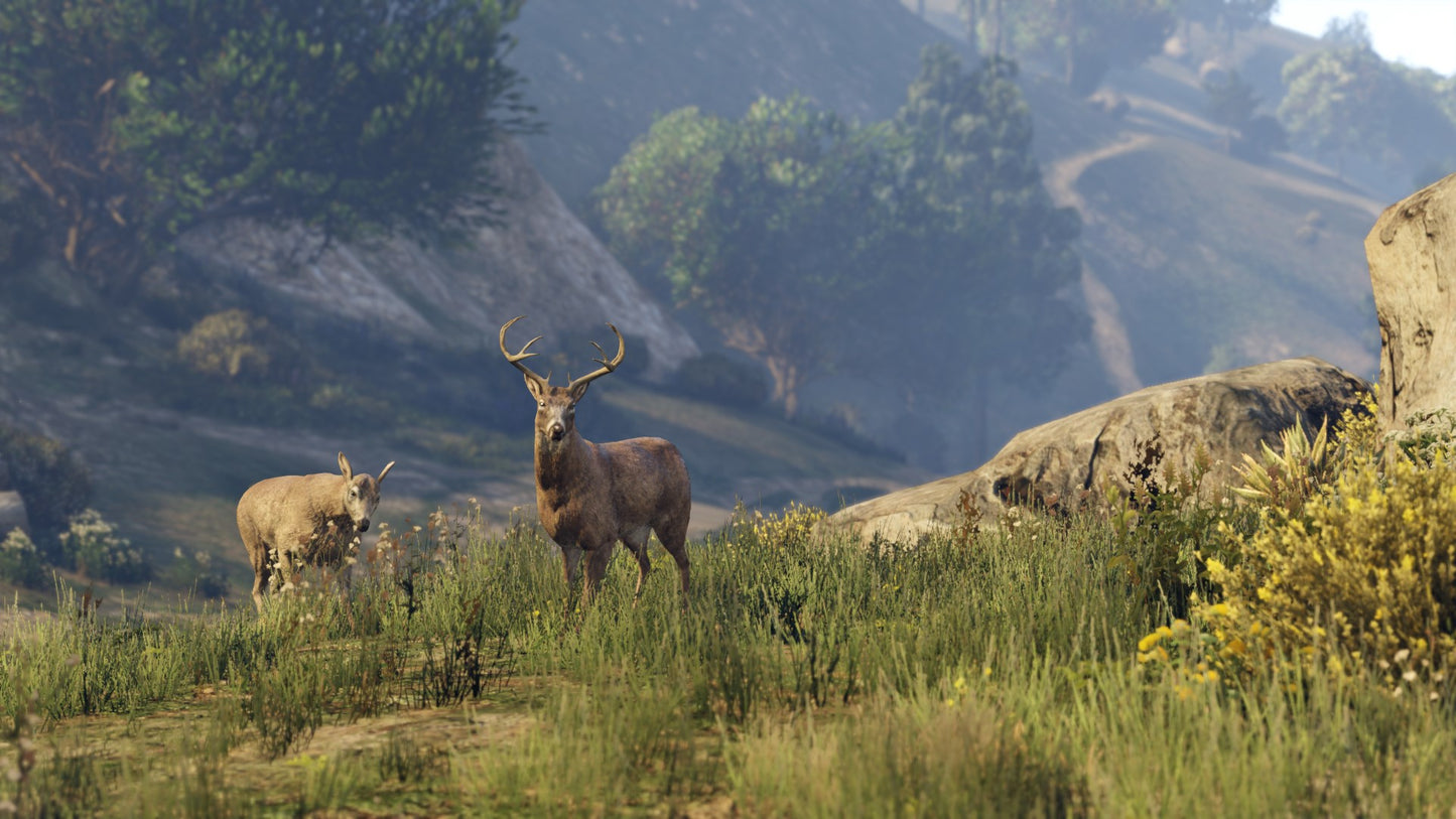 Grand Theft Auto V Premium Edition